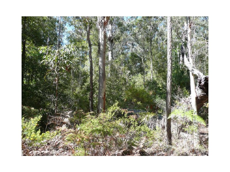 Lot 32 Omega Drive, Kungala NSW 2460