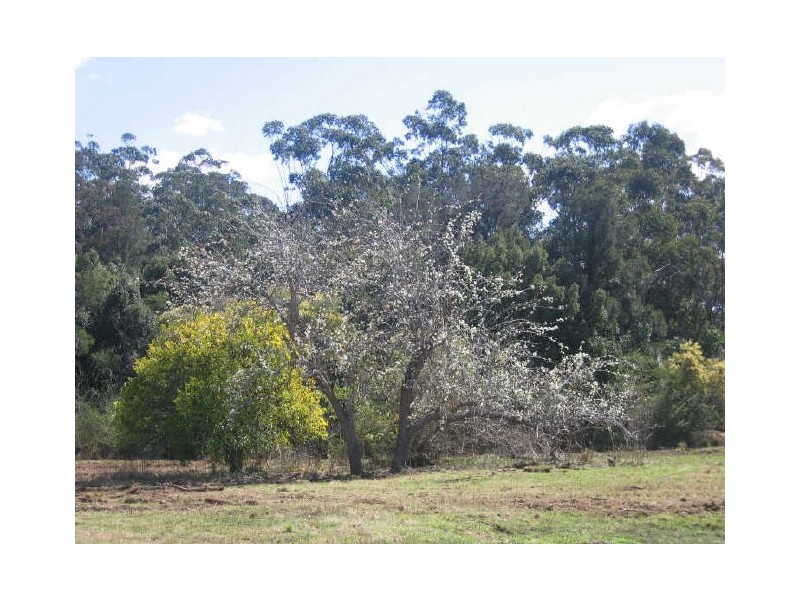 Portion 15 Riverbend Road, Kungala NSW 2460