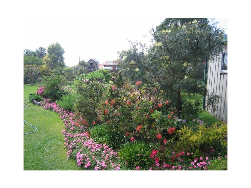 36 Armidale Road, Coutts Crossing NSW 2460