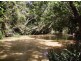 908 Lower Kangaroo Creek Road, Coutts Crossing NSW 2460