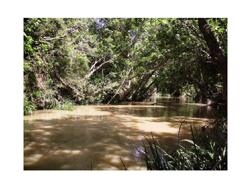 908 Lower Kangaroo Creek Road, Coutts Crossing NSW 2460