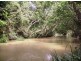 908 Lower Kangaroo Creek Road, Coutts Crossing NSW 2460