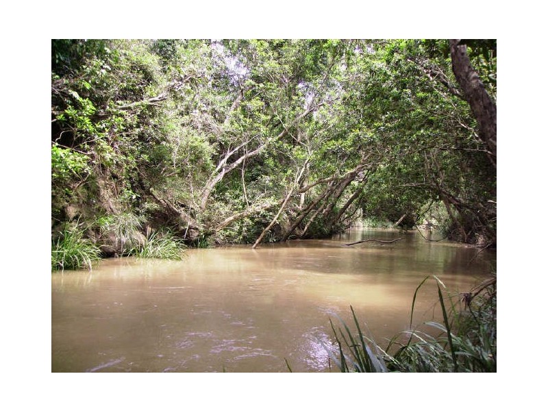 908 Lower Kangaroo Creek Road, Coutts Crossing NSW 2460