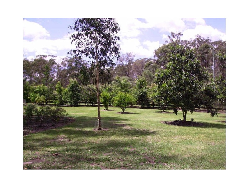 908 Lower Kangaroo Creek Road, Coutts Crossing NSW 2460