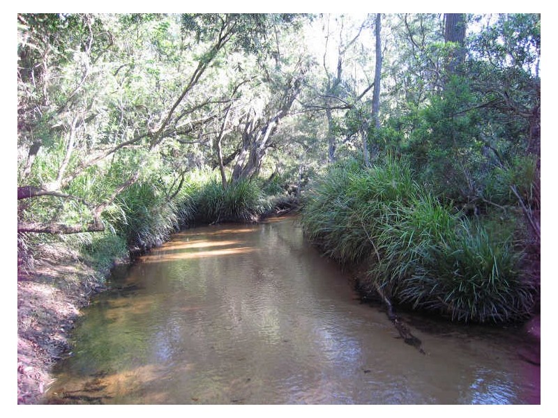 59 Greberts Road, Whiteman Creek NSW 2460