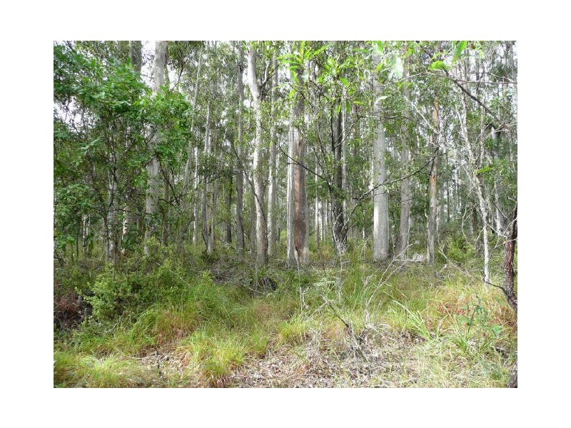 Portion 39 Riverbend Road, Kungala NSW 2460