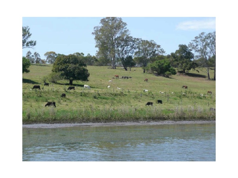 181 Clarence Way, Mountain View NSW 2460