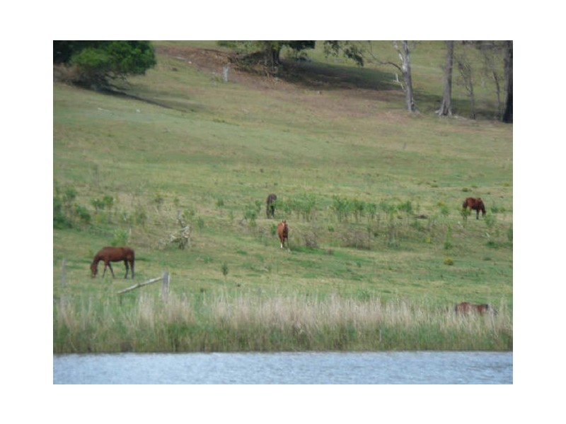 181 Clarence Way, Mountain View NSW 2460