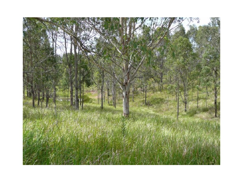 Ellandgrove Road, South Grafton NSW 2460