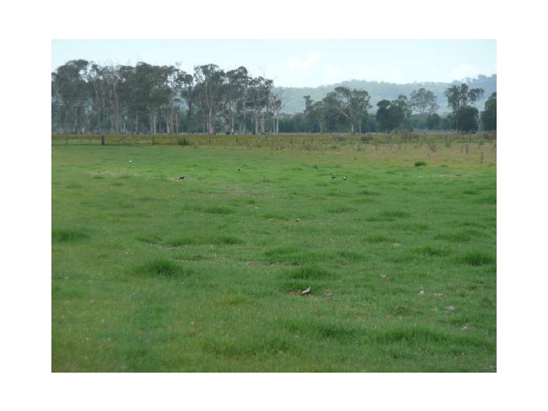 1595 Pacific Highway, Ulmarra NSW 2462