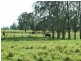 1595 Pacific Highway, Ulmarra NSW 2462