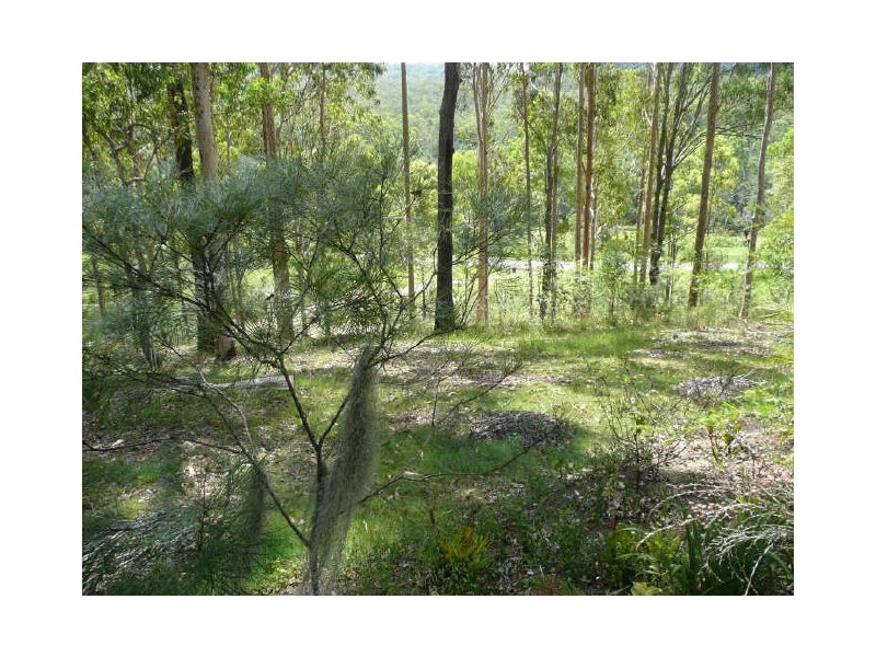 Armidale Road, Grafton NSW 2460