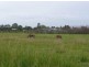 Lot 1 Duke Street, Grafton NSW 2460
