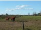 Lot 1 Duke Street, Grafton NSW 2460