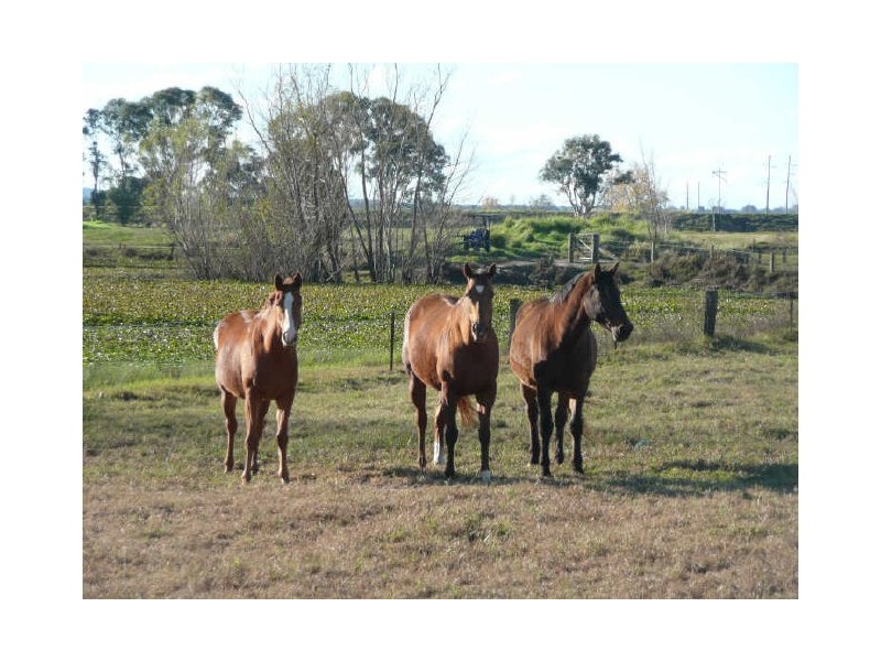 Lot 1 Duke Street, Grafton NSW 2460