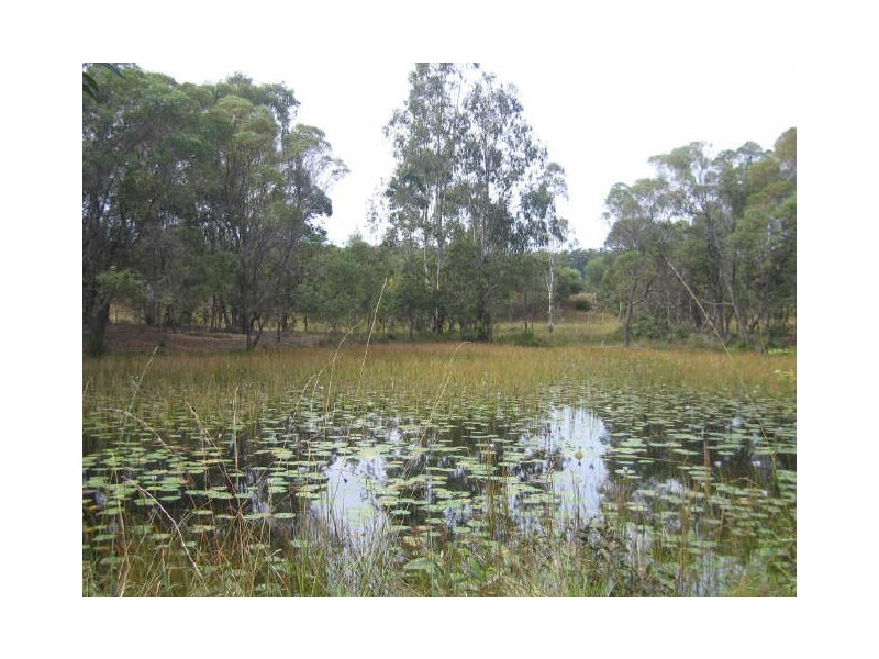 116 Lloyds Road, Pillar Valley NSW 2462