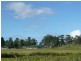 64 Ramornie Station Road, Grafton NSW 2460