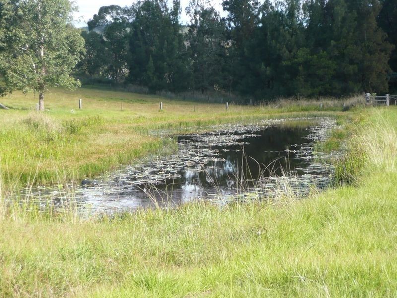 64 Ramornie Station Road, Grafton NSW 2460