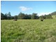 64 Ramornie Station Road, Grafton NSW 2460
