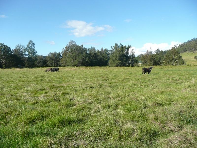 64 Ramornie Station Road, Grafton NSW 2460