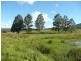 64 Ramornie Station Road, Grafton NSW 2460