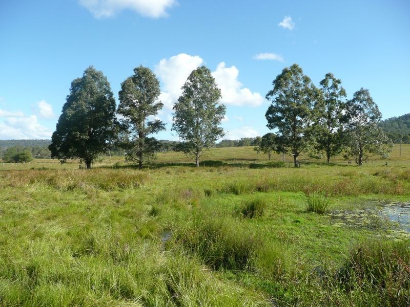 64 Ramornie Station Road, Grafton NSW 2460