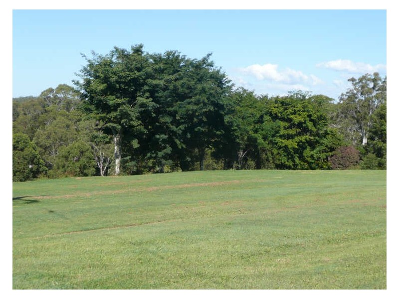 435 Bent Street, South Grafton NSW 2460
