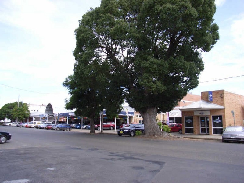 117 Fitzroy Street, Grafton NSW 2460