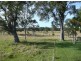 513 Lower Kangaroo Creek Road, Coutts Crossing NSW 2460