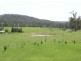 38 Cattle Creek Road, Ramornie NSW 2460