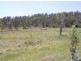 38 Cattle Creek Road, Ramornie NSW 2460