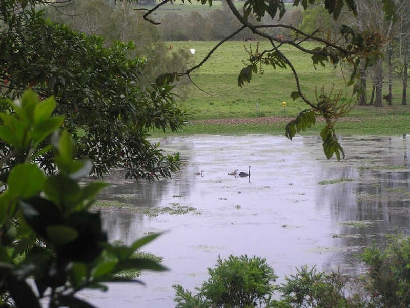 561 Lawrence Road, Grafton NSW 2460