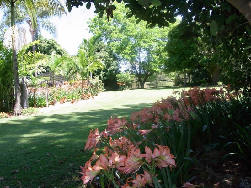 561 Lawrence Road, Grafton NSW 2460