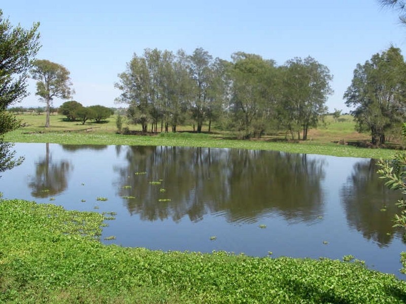 561 Lawrence Road, Grafton NSW 2460