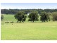 460 Rogan Bridge Road, Seelands NSW 2460