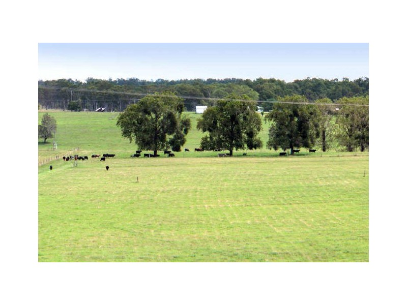 460 Rogan Bridge Road, Seelands NSW 2460