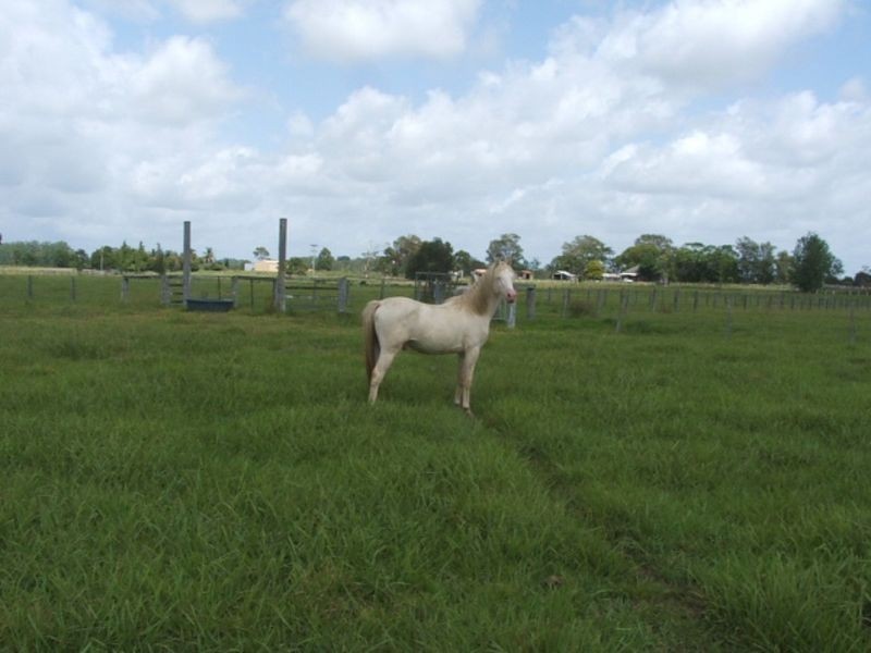 799 Lawrence Road, Grafton NSW 2460