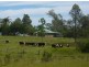 1377 Gwydir Highway, South Grafton NSW 2460