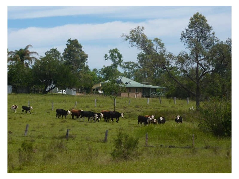 1377 Gwydir Highway, South Grafton NSW 2460