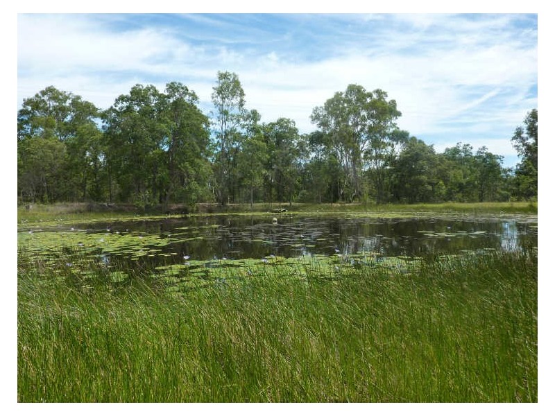 1377 Gwydir Highway, South Grafton NSW 2460