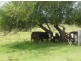 1377 Gwydir Highway, South Grafton NSW 2460