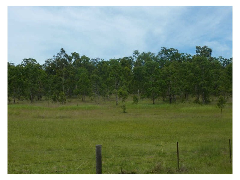 1377 Gwydir Highway, South Grafton NSW 2460