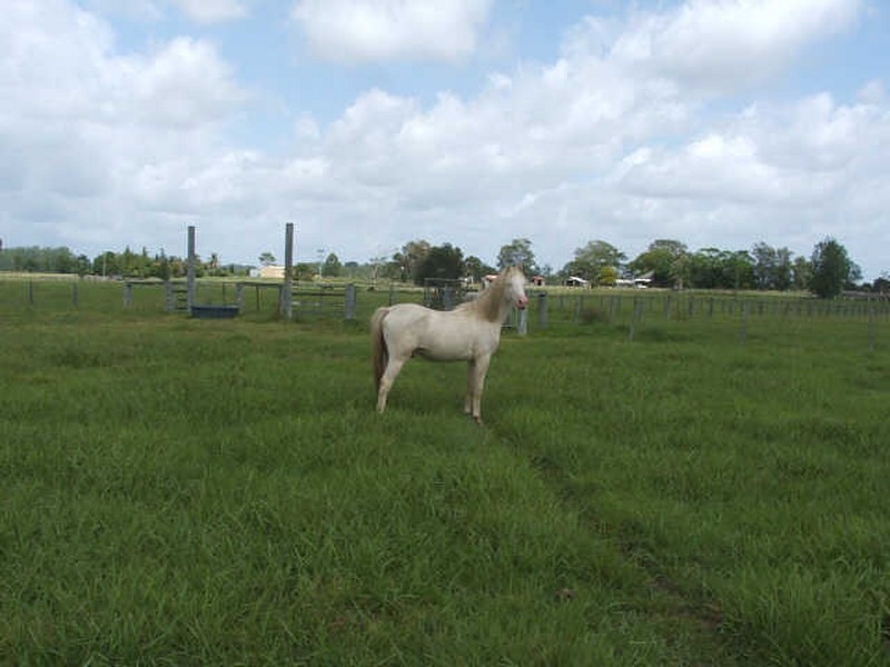 799 Lawrence Road, Grafton NSW 2460