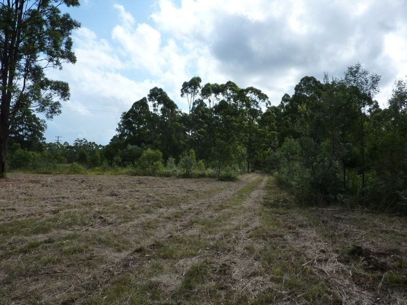 3196 Orara Way, Kungala NSW 2460