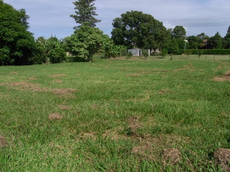 21 Powell Street, Grafton NSW 2460