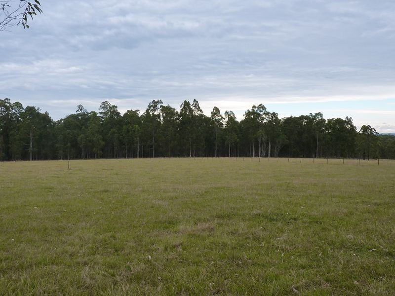 22 Glenacres Road, South Grafton NSW 2460