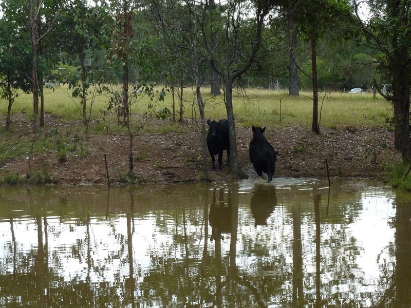 22 Glenacres Road, South Grafton NSW 2460