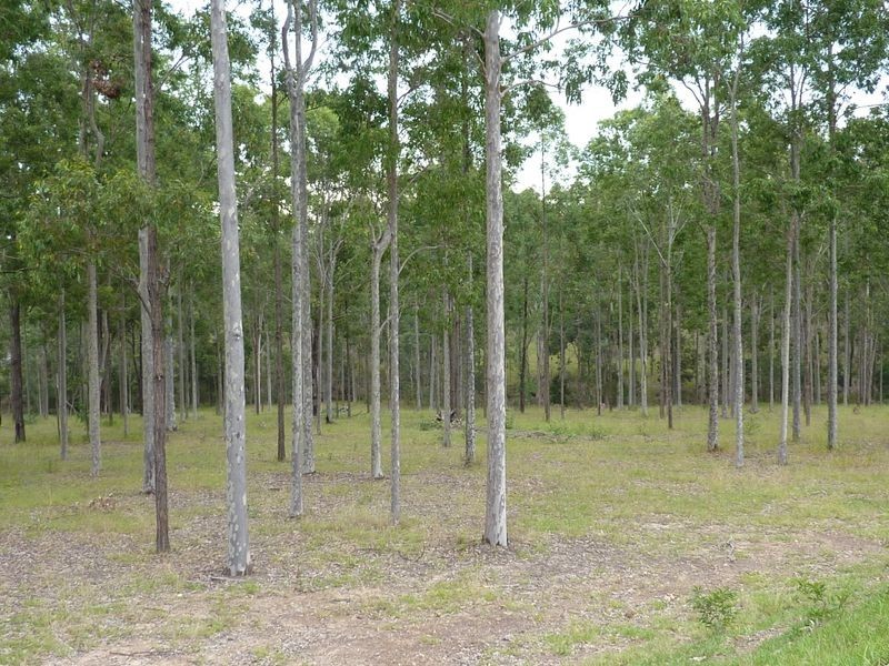 22 Glenacres Road, South Grafton NSW 2460