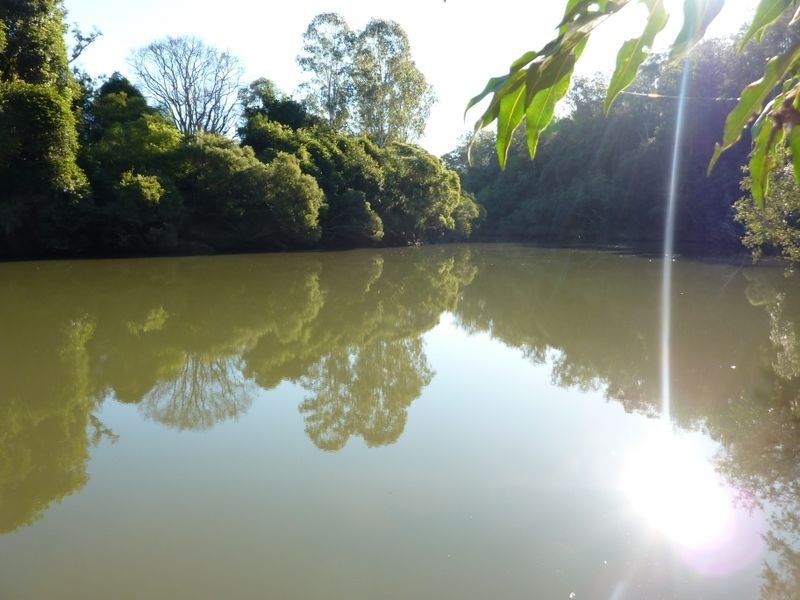 Ryans Gully Road, Grafton NSW 2460