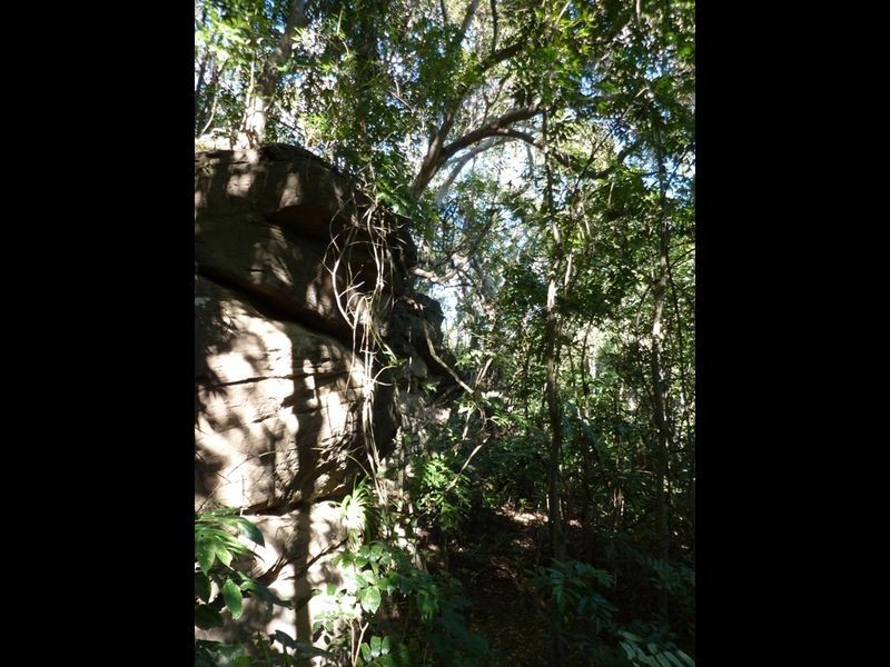 Ryans Gully Road, Grafton NSW 2460